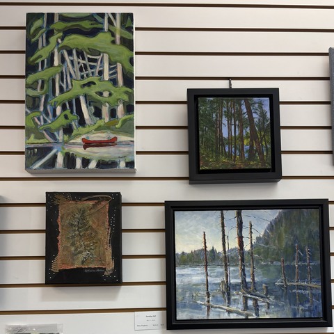 CPAWS (Dumoine River Artwork