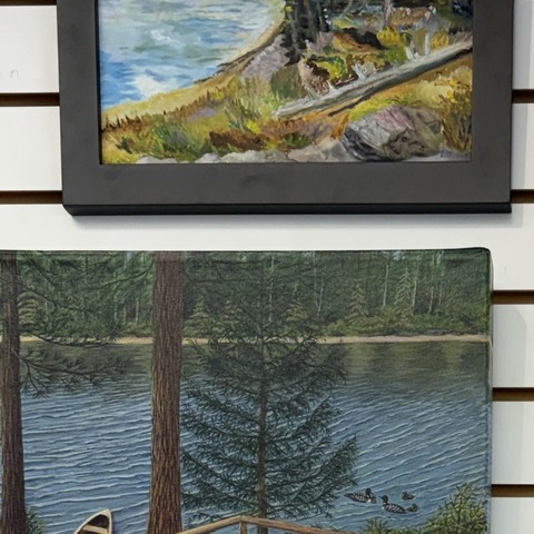 CPAWS (Dumoine River Artwork